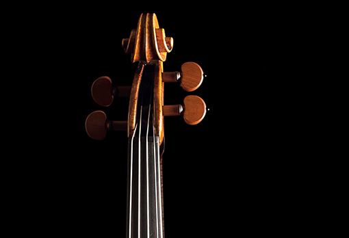 Thumb-Rettangolare-Violino